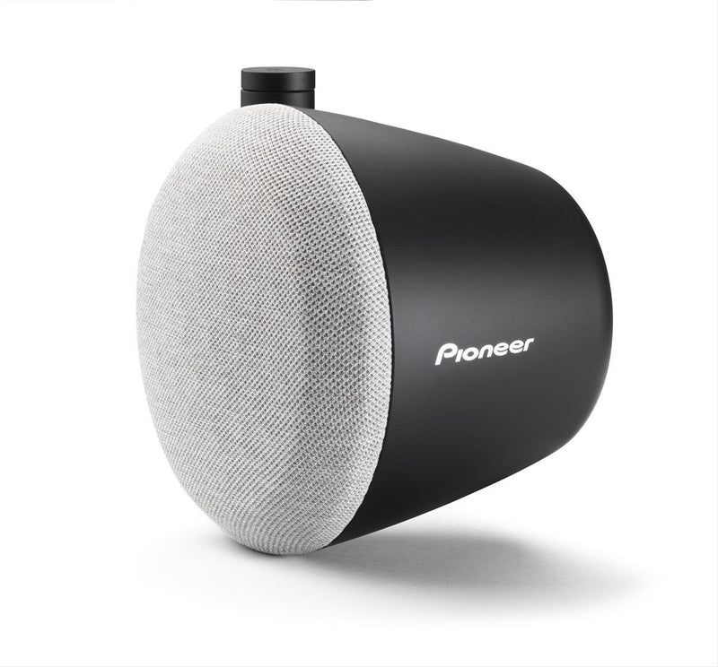 Black and gray speaker with Pioneer logo on a white background