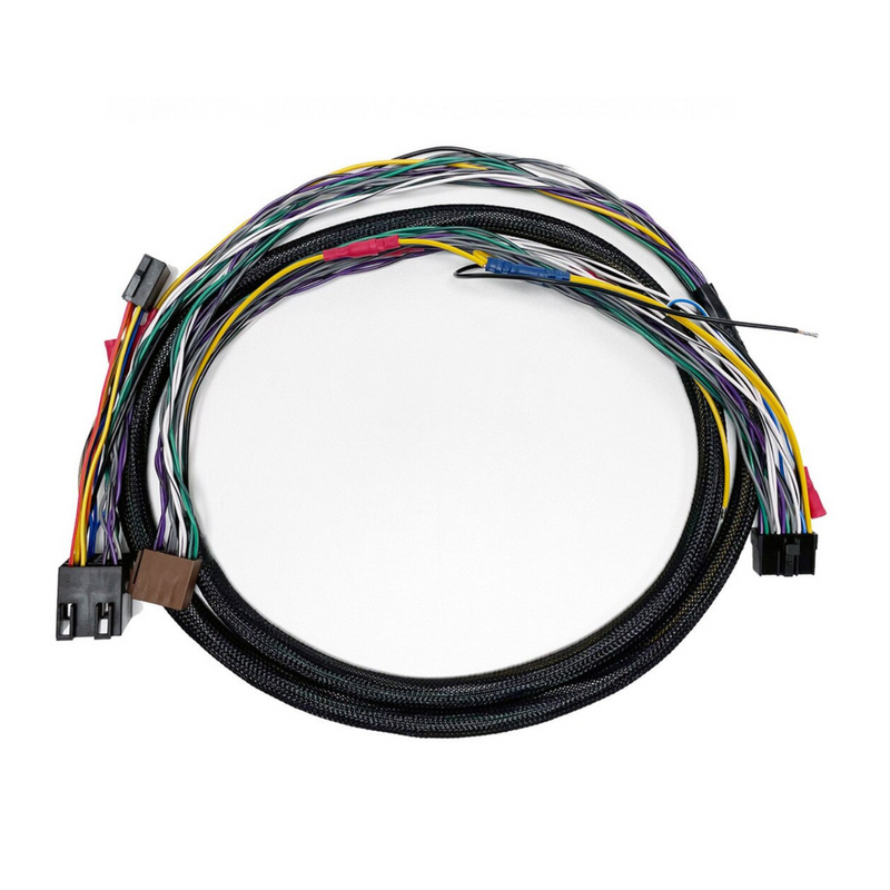 Phoenix Gold ZDAISOT2 ISO T Harness for ZDA4.6 DSP Amplifier