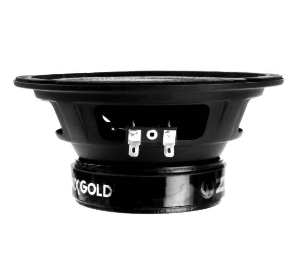 Black speaker driver with 'Froggypop Gold' branding on a white background