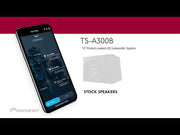 Pioneer TS-A300B